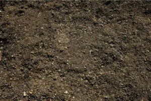 Divitaetfils Vente Terre Vegetale4